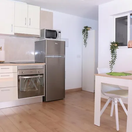 Atico Con Barbacoa Y Terraza Exclusiva. Apartment *